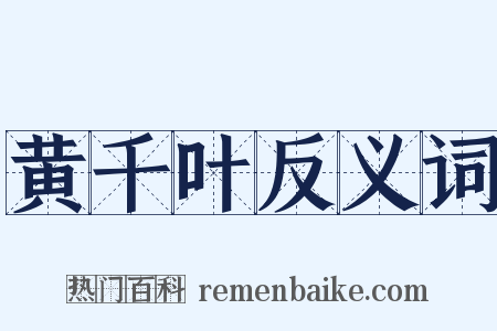黄千叶反义词是什么意思的图片
